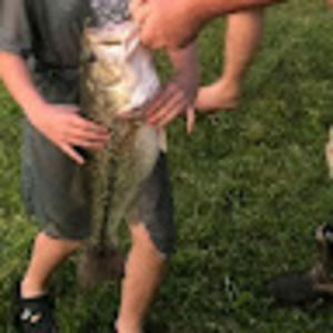 Meet your Posher, Lanie